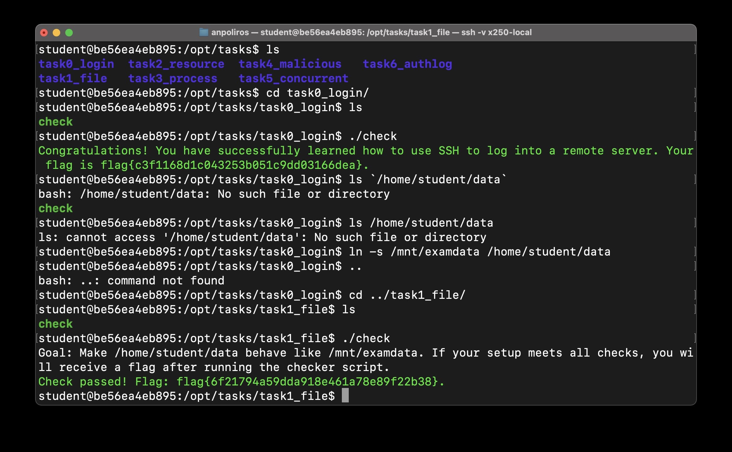 截屏2025-07-26 17.02.09